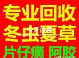 �����л��ն����Ĳݶ�������Ƭ��񥰲��ţ���躣�������㽺���