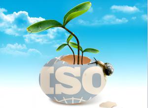 ISO 14001ҵɫչ