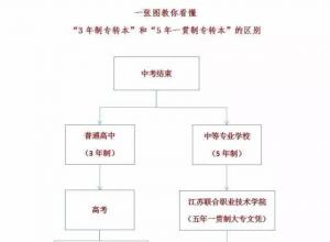 2026�������������������רת���г�Ӫ����ǰ��ѵ+Ѻ��౨��